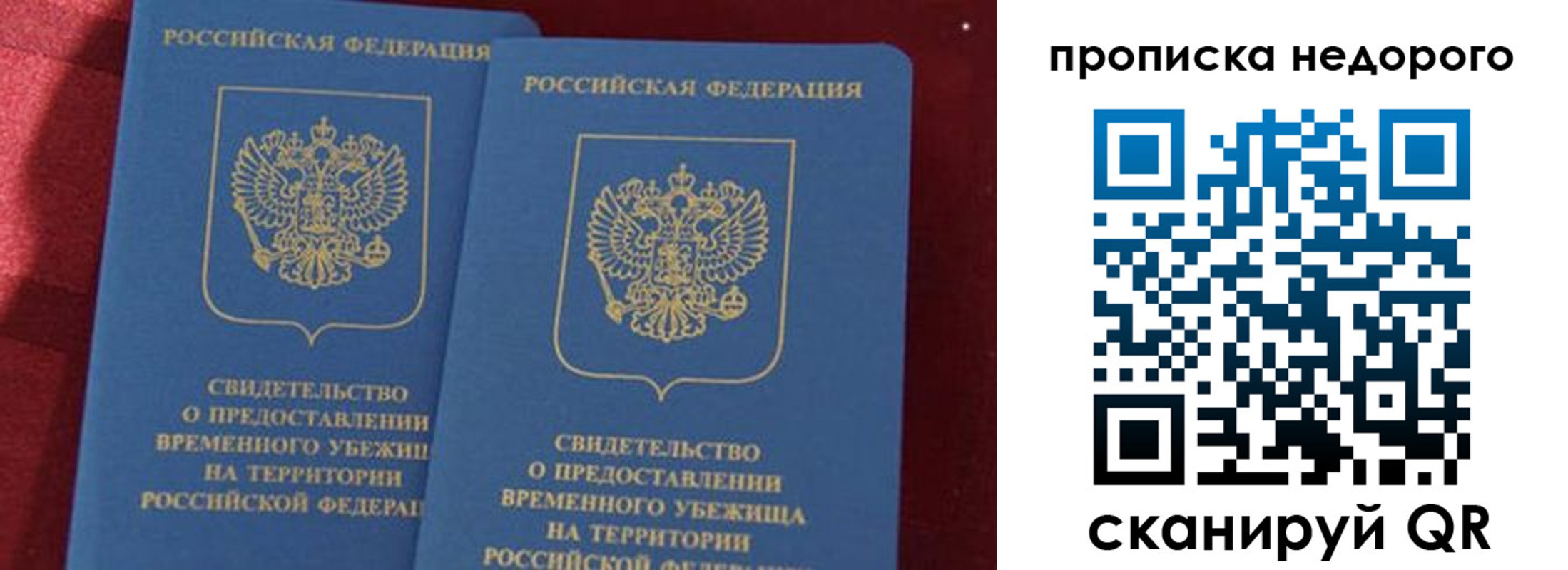 прописка гарантия в Краснозаводске